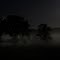 Fog and full moon