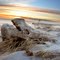 Crane beach cold winter walk at sunrise  2/20/11