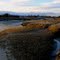 Fox Creek Crane Beach looking down on little neck 4/2/11