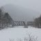 Rail  Bridge Over Driftwood Branch