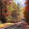 Rail Bridge in Autumn