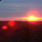 cook forest sunset