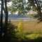 Delaney Pond, East Bolton Ma
