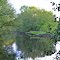 W. Concord, Assabet River (cool)