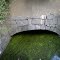 Emerald agreen Algae & Hand Hewn Stone Arch