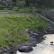 Warners Pond, Nashoba Brook