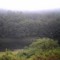Allegheny River at Emlenton