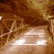 Bridge at Mineral Springs Park