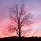 red sunset