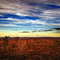 View from Big Pine Hill Tower