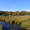 Forested wetland in Thornhurst Township