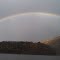 Raystown Lake rainbow