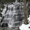 Bear Creek Falls (~30')