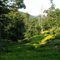 Bearpen Hollow