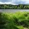 the lakeside