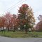 Fall Foliage