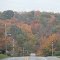Fall Foliage