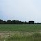 Field