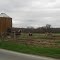Noble Road Farm