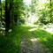 The old railroad bed.