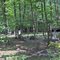 Camp