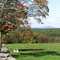 Towards Wachusett Mountain