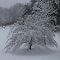 Winter Comes Early