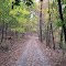 Trail in Frick Park in the Fall