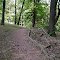 path