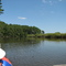 Pitt's Creek