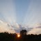 Sunburst