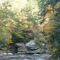 Slippery Rock Creek - Fall