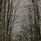 Long Road - Moraine State Park