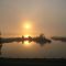Foggy Morning