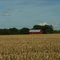 Feild off of 234