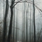 Cedar woods