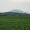 Sugarloaf Mountain from Monocacy Valley