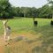 Llama, Alpaca and Steer on Slidell Rd
