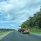 Interstate 81
