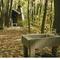 Laurel Highland Trail Shelters