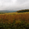 Early Autumn Rainy Day, Laurel Highlands