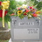 Artiles