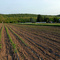 Backbone Mountain Food Farm