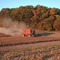 Red Cross PA Farming