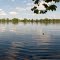 Petty's Island from CCMUA Property, Delaware River