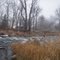 Ditch Road rapids on Shiawassee River
