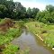 Cass River on Gary Road