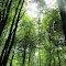 Look up the sky of Saginaw Valley Rail Trail