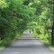 Saginaw Valley Rail Trail