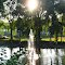 Golden time in Lumberman's Park, St. Charles, MI